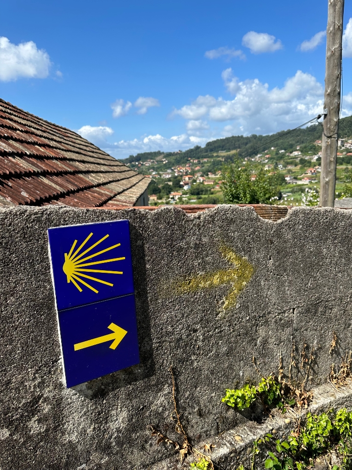 El Camino de Santiago